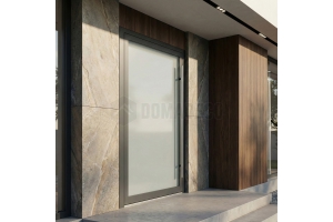 Glass modern front door