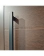 PIVOT 12C - modern pivot front door