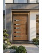 PIVOT AP18A - aluminium single pivot door
