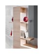 BRIN XI - TV storage unit