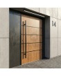 Golden Aluminium pivot entrance door
