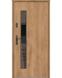 Fargo Fi08B - contemporary front door