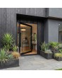 Aluminium and glass pivot entry door