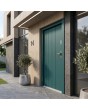 Green contemporary front door