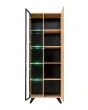 Lublana - modern wall unit for living room