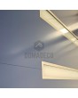 PIVOT 39 - aluminium prehung aluminium pivot door