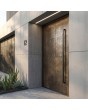Aluminum hinged door with bronze liquid metal