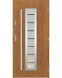 Sta Hevelius - contemporary steel door with security glass