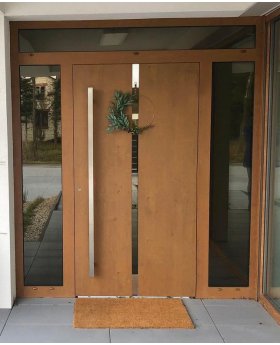 Aluminum LIM hinged front door with left, right and top glass panel