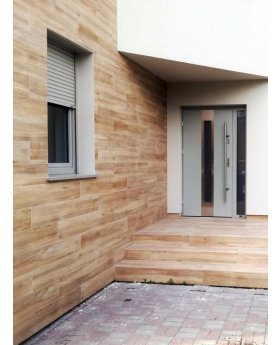 Fargo 30 - house front single door