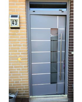 Silver Gray Aluminum hinged LIM door with top glass panel