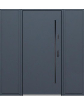 Fargo 1 T - entrance door + 2 side panels