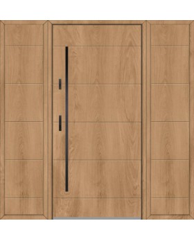 Fargo 26C T - front door with panels