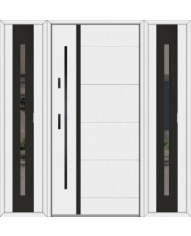 Fargo 41 T - front door with two side panels