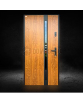 Prehung Golden oak Steel Door with glass