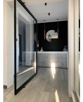 N1 - interior single pivot door 