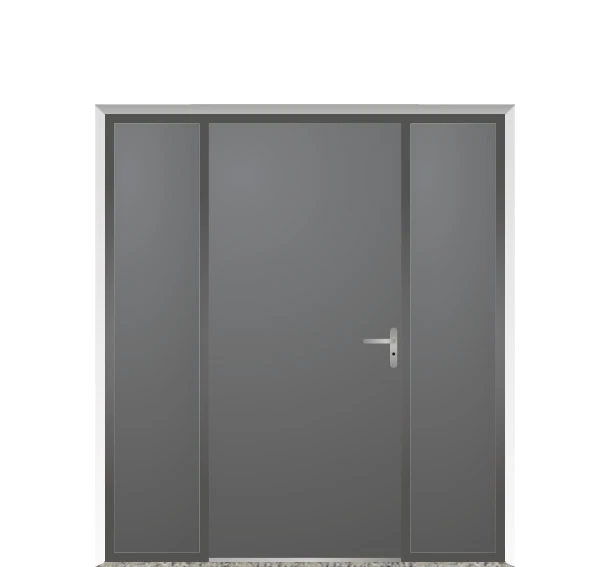 Door with two side panels