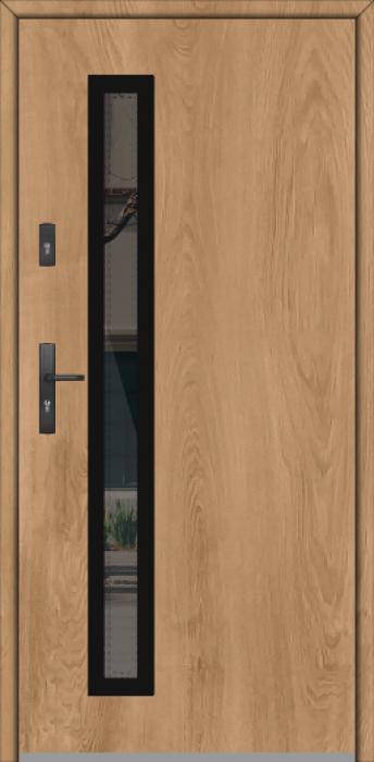 Fargo GD01B - contemporary exterior door